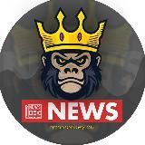  RichMonkey.biz News 