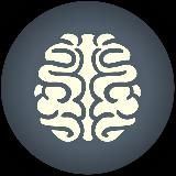 Train The Brain