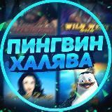 Пингвин | ХАЛЯВА ⚡️