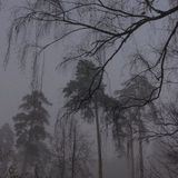 Что-то уютное и мысли мысли мысли