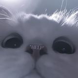 ' 