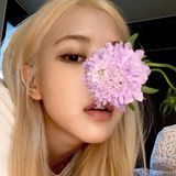 ↳｡˚ _️ !!♡┊