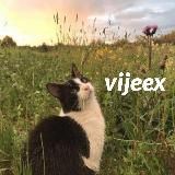 vijeex
