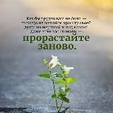 Успех и мотивация в цитатах