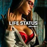  LIFE STATUS