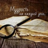 Порция мудрых цитат ежедневно! 