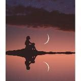 Lonely Moon