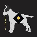 SNATCH <Crypta & NFT>