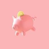 Crypto pig