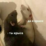 крыса лин