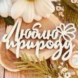 Интересные факты