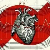 Собачье сердце капиталиZма