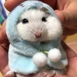 T80/20 АРХИВ PREMIUM