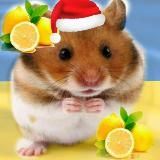 Путь к миллиону[chopp1x]