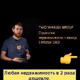 Two Whales Invest (20-3000%)