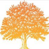 TreeInvest