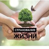 PRO Страхование Жизни