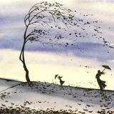 North wind