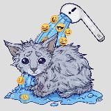 Howtowashacat