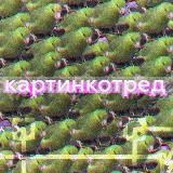 картинкотред