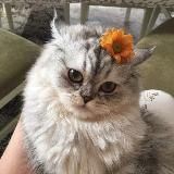 Милые пикчи