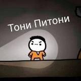 Тони Питони