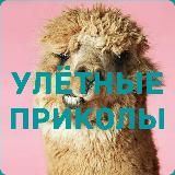 Улётные приколы 