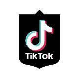 TikTok КПІ 