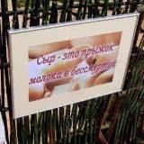 алена раскопала