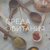 Какой сегодня день