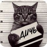 Подписчики ,лайки ,активность