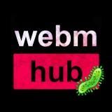 WebmHub