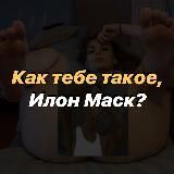 Как тебе такое, Илон Маск?