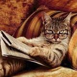 Старая шельма / viksi666