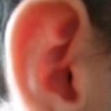 ГОЛОСОВУХА В УХО ❤️