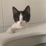 vladurak залуписьки