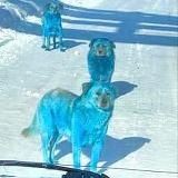 Подвал СексиБомбы
