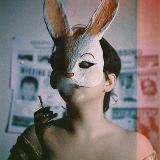 Губернатор и К.