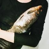 fashionchain