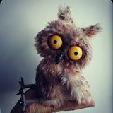 Записки чокнутой