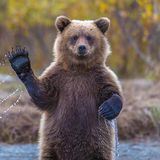 Сергей Неверов