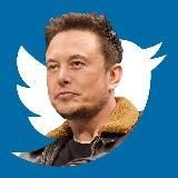 Твиттер Илона Маска | Elon Musk (Моментальные твиты)
