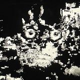 &laquo;Анон тут&raquo;