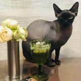 Ксения Полежаева