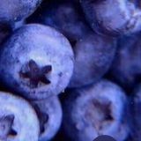 Вытрезвитель имени А. Морковь