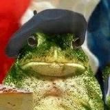 карманный француз