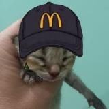 Вечный инструктор