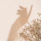 Maria Belova (ранее inside_mary)