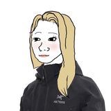 пластик постит