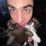 Котик, но не грустный